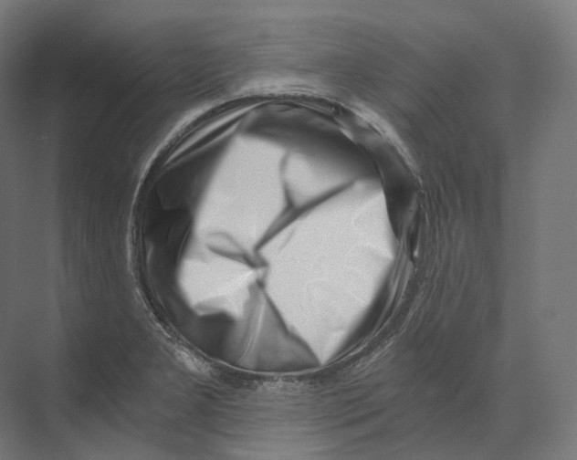 X0000073861277200609071623