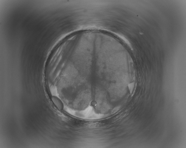 X0000073861279200609071623