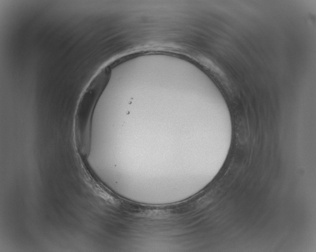 X0000073861280200609071623