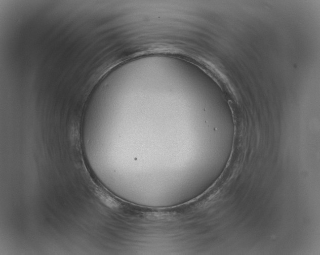 X0000073861281200609071623