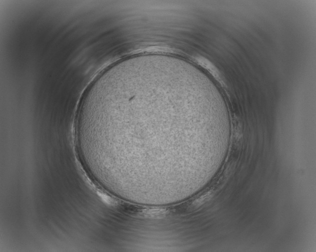 X0000073861282200609071623