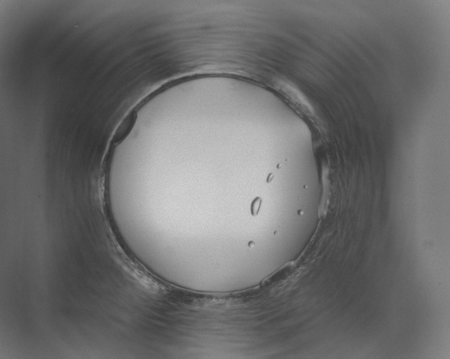 X0000073861284200609071623