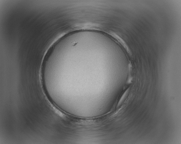 X0000073861285200609071623