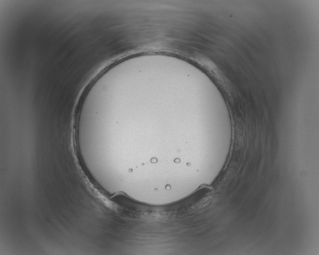 X0000073861286200609071623