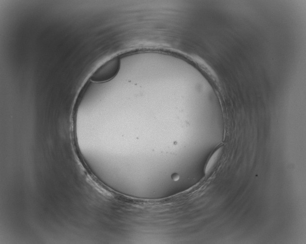 X0000073861287200609071623