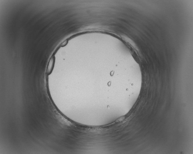 X0000073861288200609071623