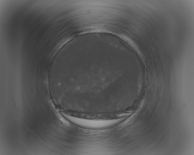 X0000073861289200609071623