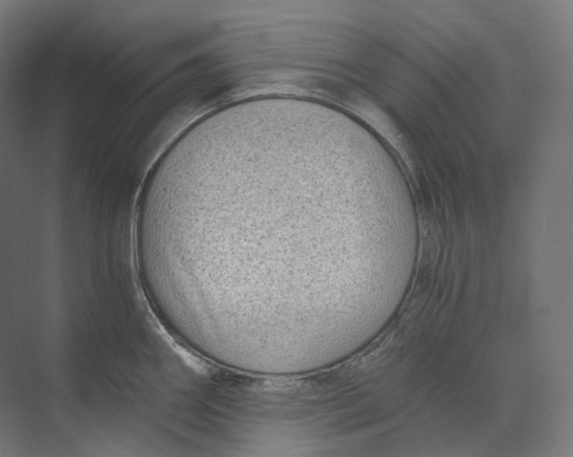 X0000073861290200609071623