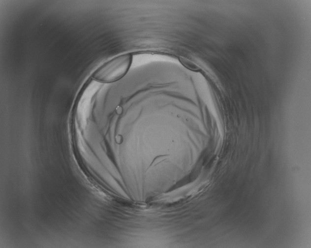 X0000073861291200609071623