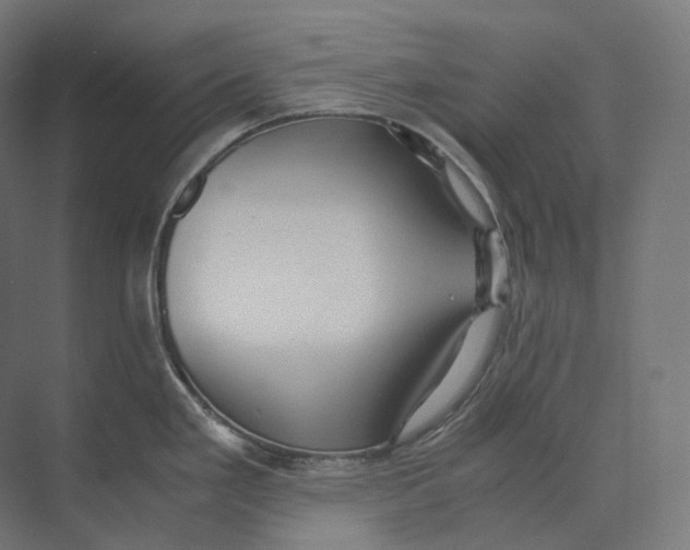 X0000073861293200609071623