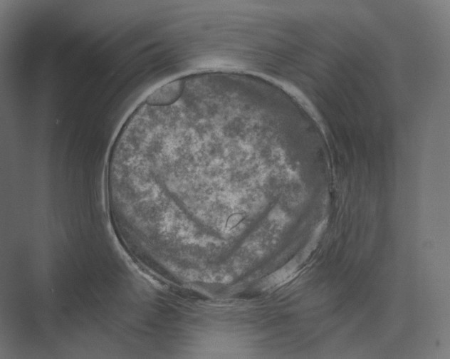 X0000073861295200609071623