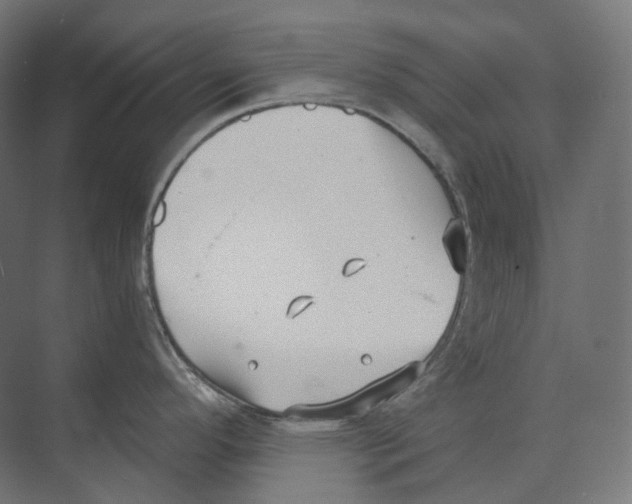 X0000073861296200609071623