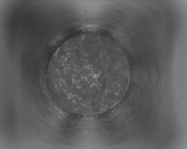 X0000073861297200609071622