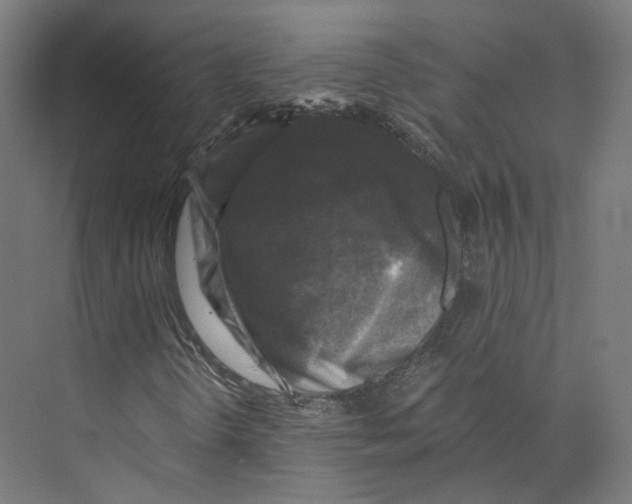 X0000073861298200609071622