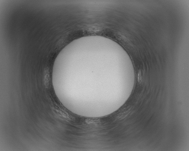 X0000073861299200609071622