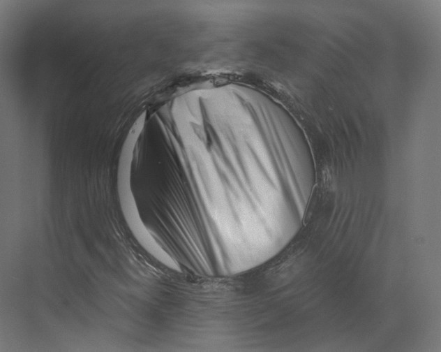 X0000073861300200609071622