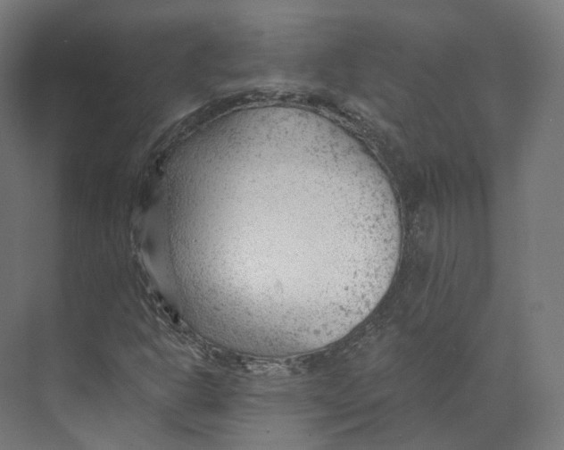 X0000073861302200609071622