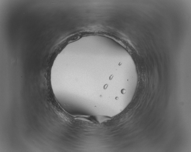 X0000073861304200609071622