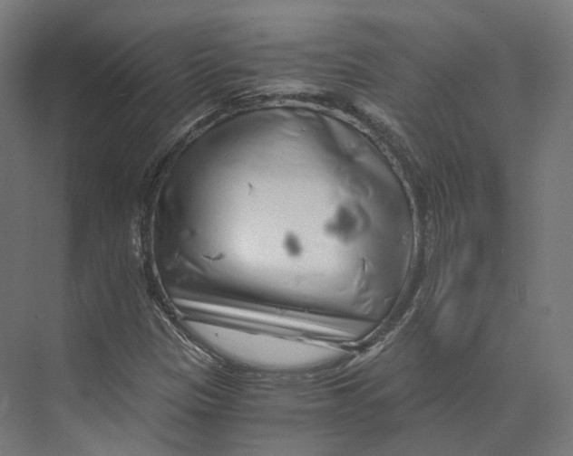 X0000073861305200609071622