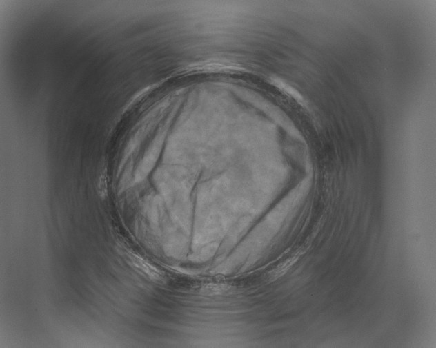 X0000073861306200609071622