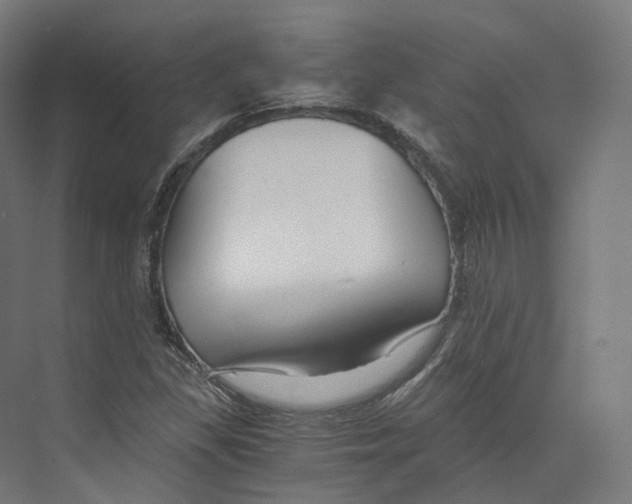 X0000073861309200609071623