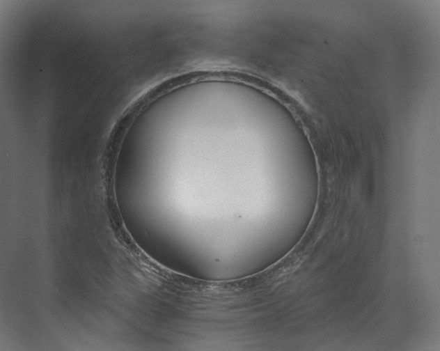 X0000073861311200609071623