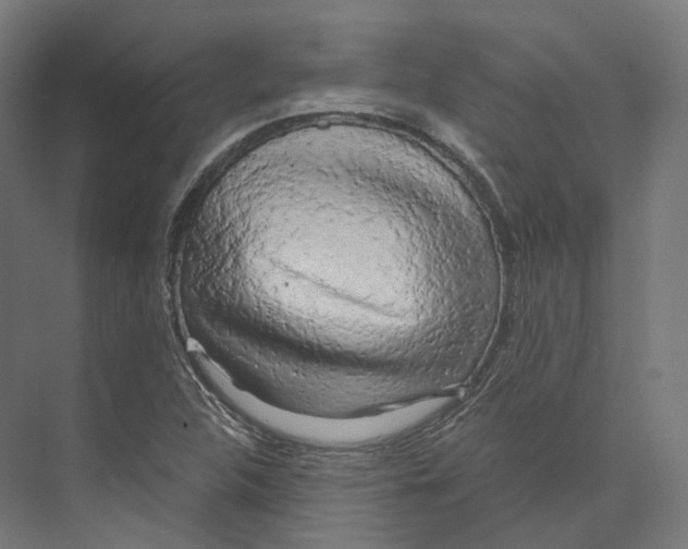 X0000073861312200609071623