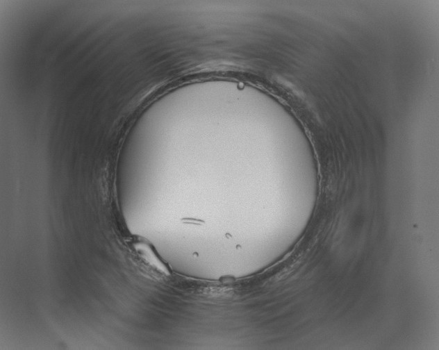 X0000073861313200609071623