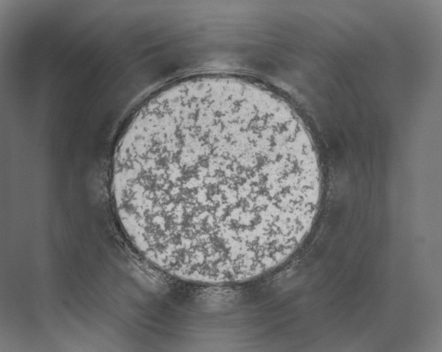 X0000073861314200609071623