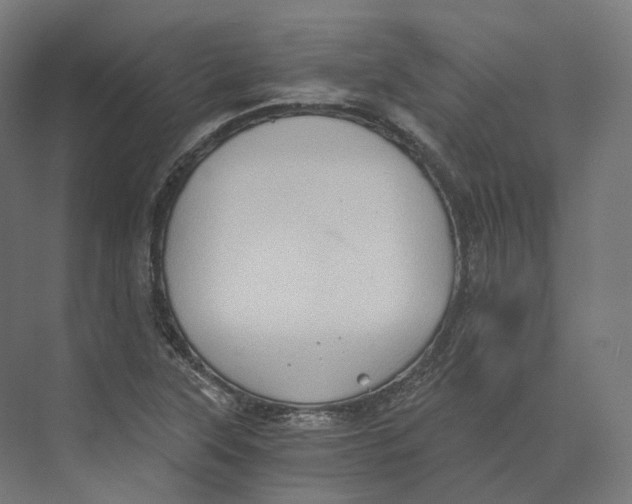 X0000073861315200609071623