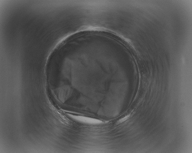 X0000073861319200609071623