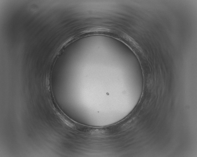 X0000073861321200609071623