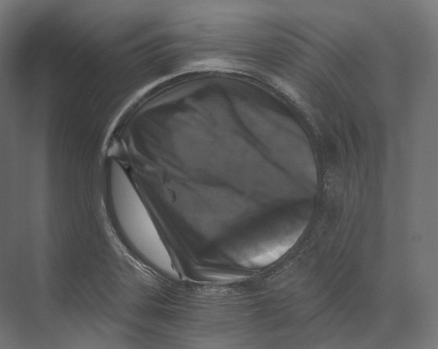 X0000073861323200609071623