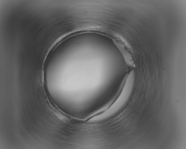 X0000073861324200609071623