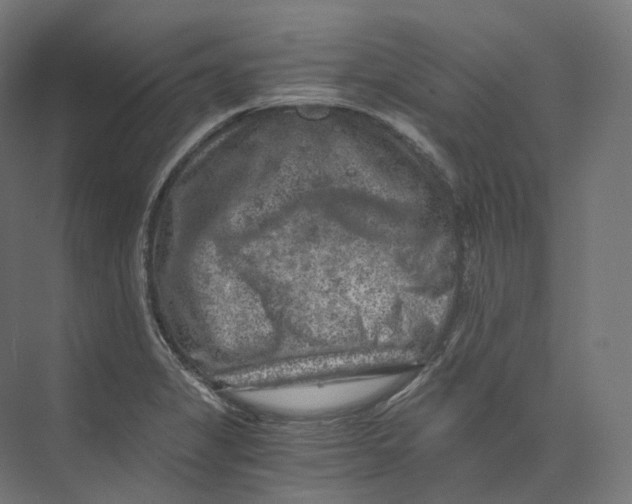 X0000073861325200609071623