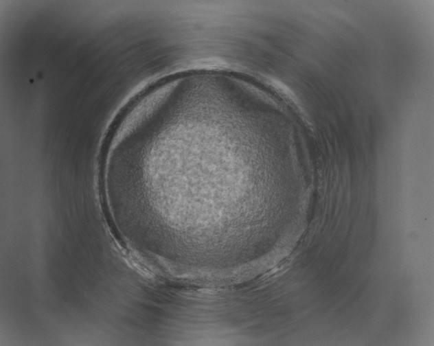 X0000073861326200609071623