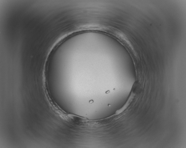 X0000073861328200609071623