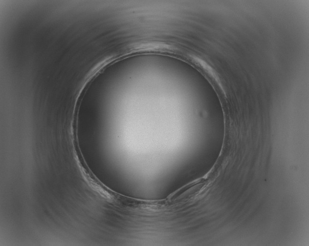 X0000073861330200609071623