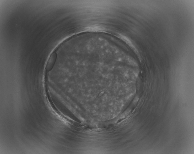 X0000073861331200609071623