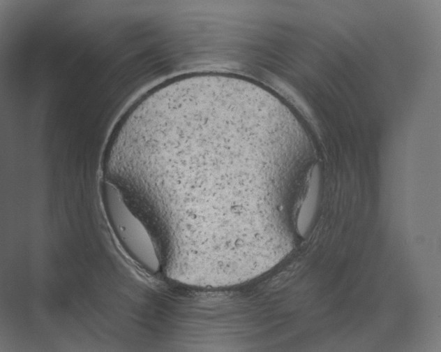 X0000073861332200609071623