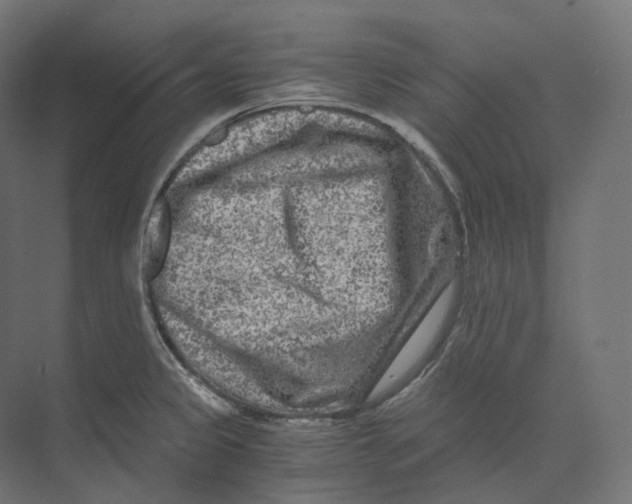 X0000073861333200609071623