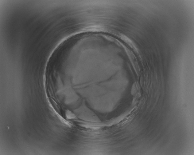 X0000073861334200609071623