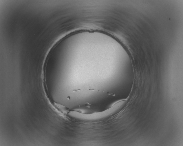 X0000073861335200609071623