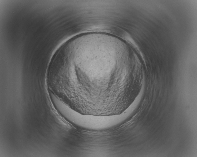 X0000073861336200609071623