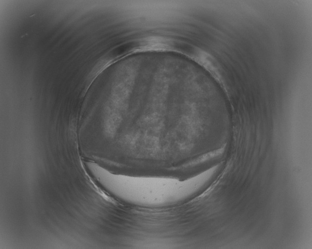 X0000073861337200609071623