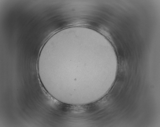 X0000073861338200609071623