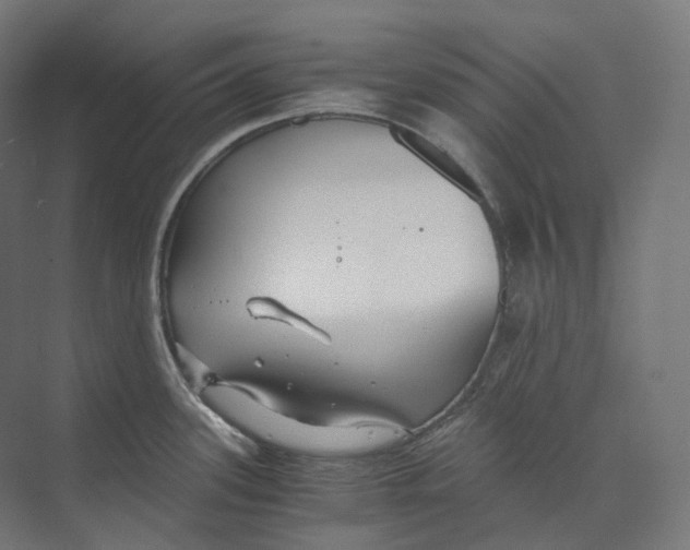 X0000073861339200609071623