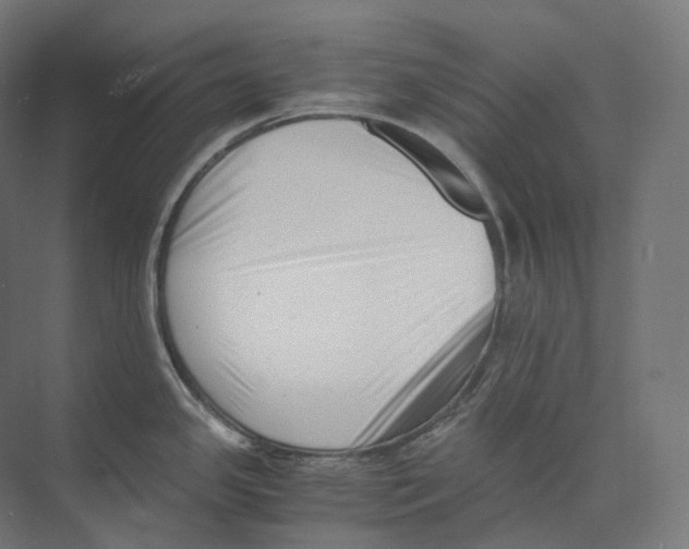 X0000073861341200609071623