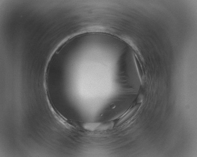 X0000073861342200609071623