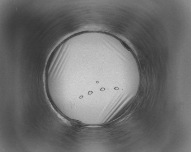 X0000073861343200609071623